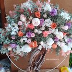 Mon olivier en fleur irisfleursidf.fr
