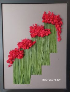Lave Végétale irisfleurs idf.fr